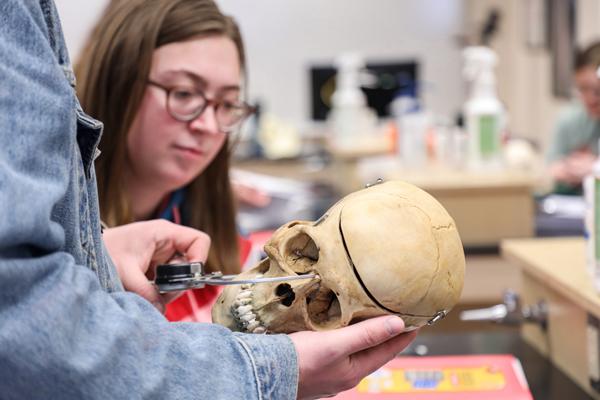 学生正在测量一个人的头骨